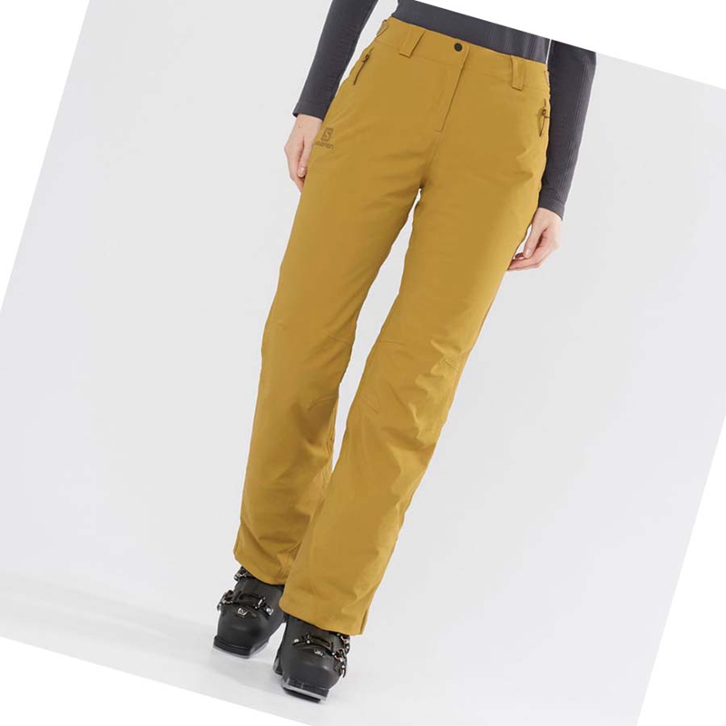 Calça De Esqui Salomon THE BRILLIANT Feminino Marrom | 86407-QLOA