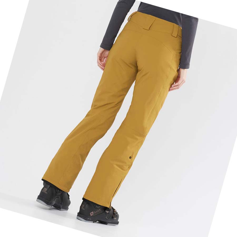 Calça De Esqui Salomon THE BRILLIANT Feminino Marrom | 86407-QLOA