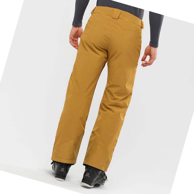 Calça De Esqui Salomon UNTRACKED Masculino Marrom | 79410-CZBE