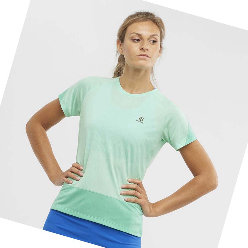 Camiseta Salomon CROSS RUN Feminino Verdes | 13840-EBOC