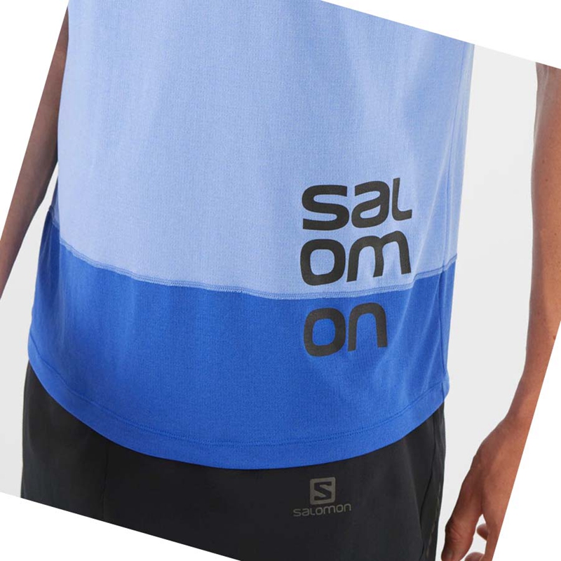 Camiseta Salomon CROSS RUN GRAPHIC Masculino Azuis | 59674-YPEC