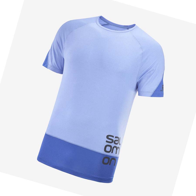 Camiseta Salomon CROSS RUN GRAPHIC Masculino Azuis | 59674-YPEC