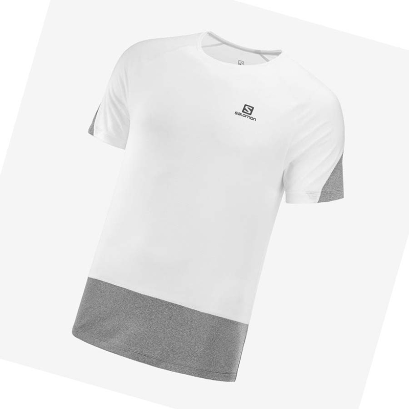 Camiseta Salomon CROSS RUN Masculino Branco | 17045-EFCS