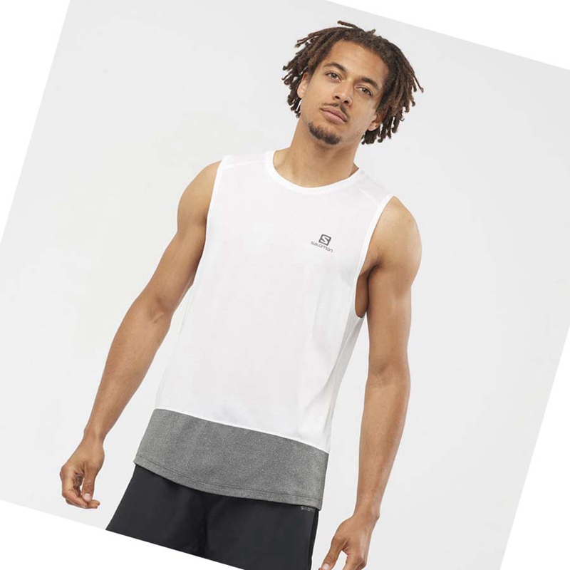 Camiseta Salomon CROSS RUN Masculino Branco | 18602-DLZO