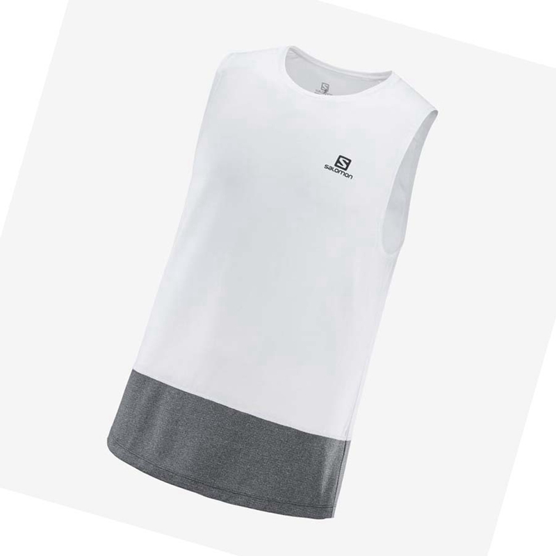 Camiseta Salomon CROSS RUN Masculino Branco | 18602-DLZO