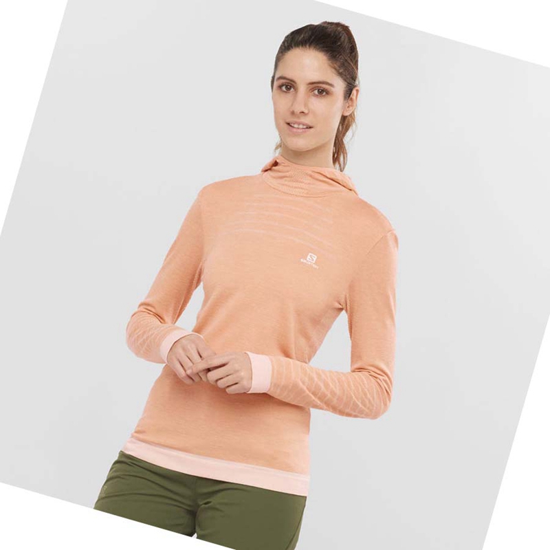 Camiseta Salomon ESSENTIAL WOOL Feminino Bege | 61207-XPBQ