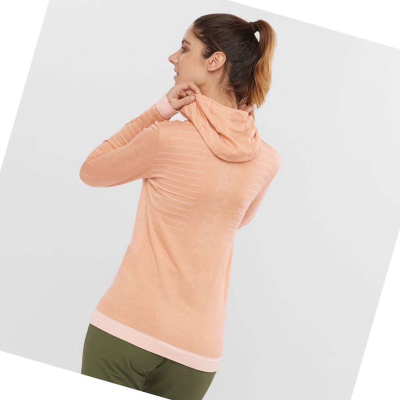 Camiseta Salomon ESSENTIAL WOOL Feminino Bege | 61207-XPBQ