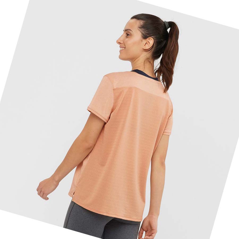 Camiseta Salomon OUTLINE SUMMER Feminino Bege | 09154-IYLE