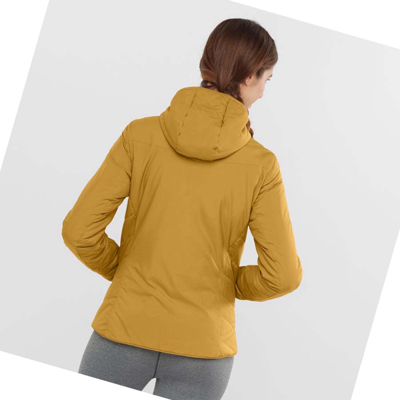 Casaco Salomon OUTRACK INSULATED Feminino Amarelas | 32175-QAVC