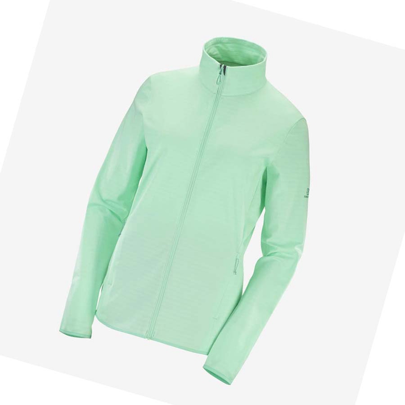 Moletom Com Capuz Salomon ESSENTIAL LIGHTWARM Feminino Verdes | 81930-JHGB