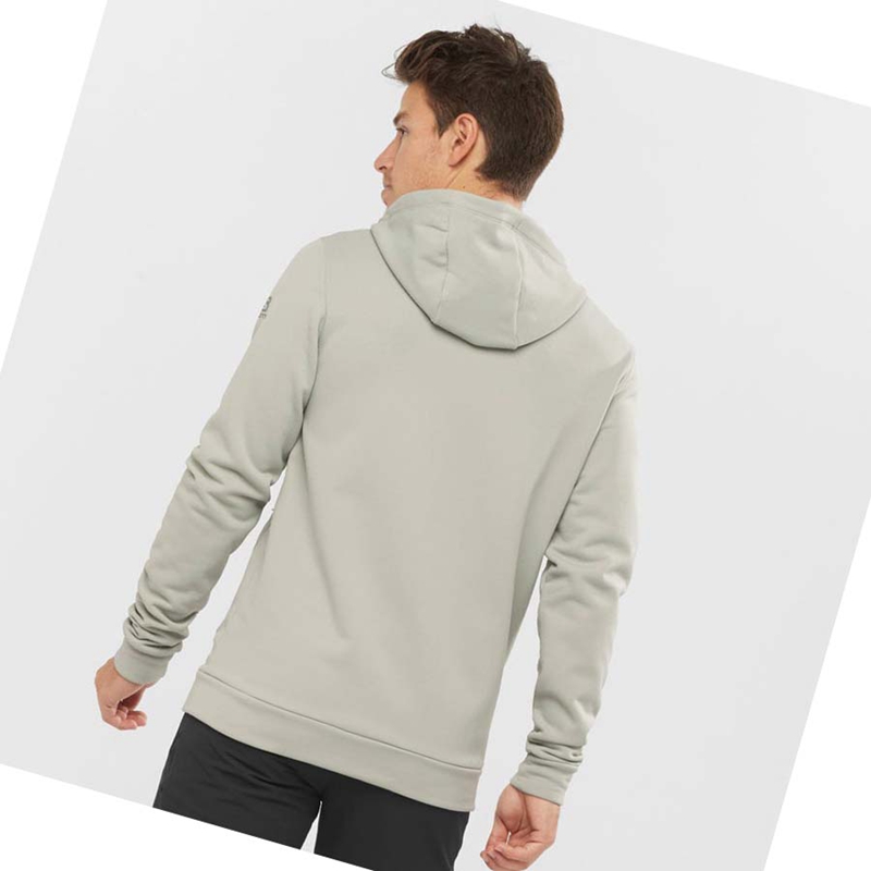 Moletom Com Capuz Salomon ESSENTIAL WARM FLEECE Masculino Bege | 56340-VBRS