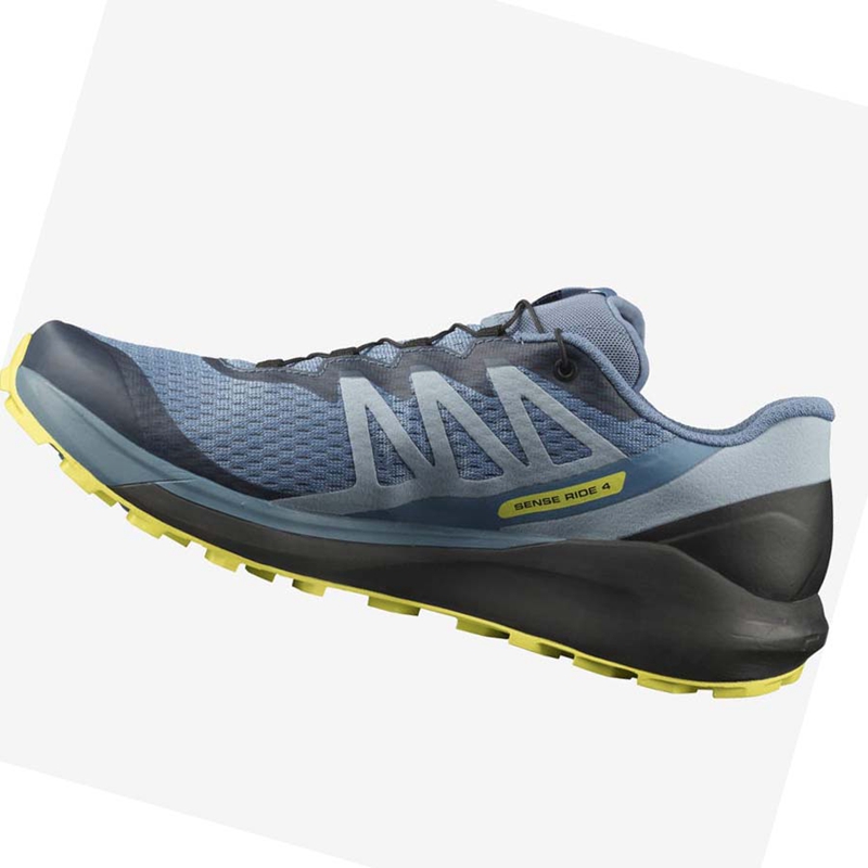 Sapatilhas Trail Running Salomon SENSE RIDE 4 Masculino Cinzentas | 38216-HEDU