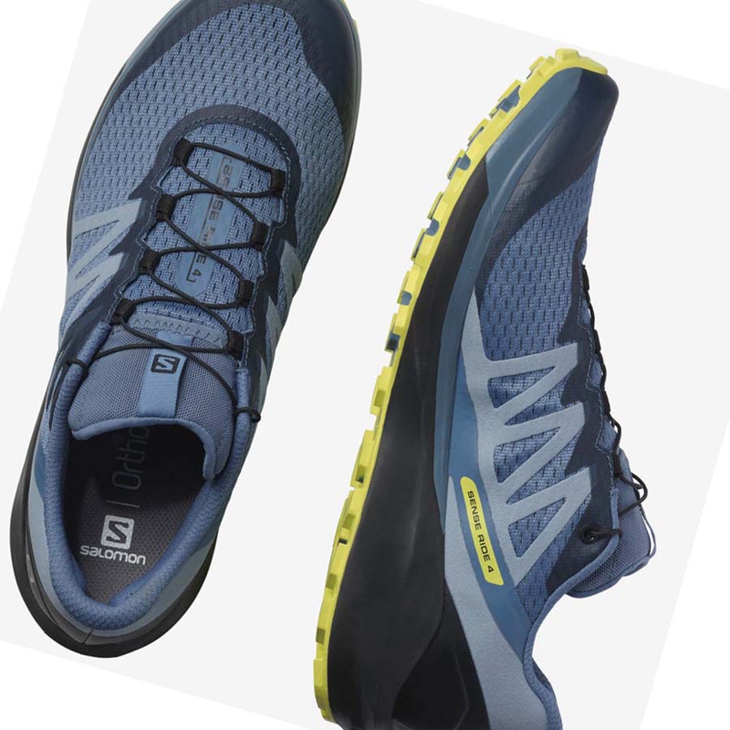 Sapatilhas Trail Running Salomon SENSE RIDE 4 Masculino Cinzentas | 38216-HEDU