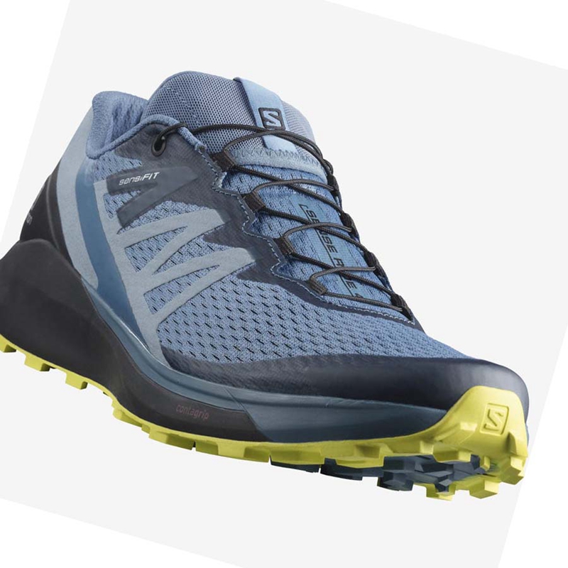 Sapatilhas Trail Running Salomon SENSE RIDE 4 Masculino Cinzentas | 38216-HEDU