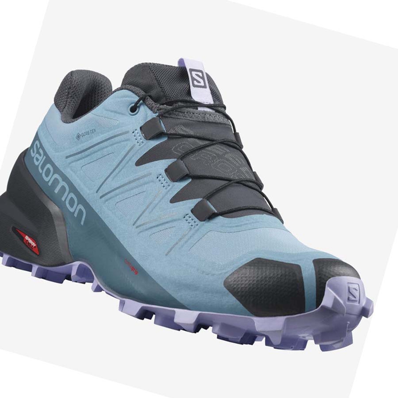 Sapatilhas Trail Running Salomon SPEEDCROSS 5 GORE-TEX Feminino Marrom | 89571-WKRN