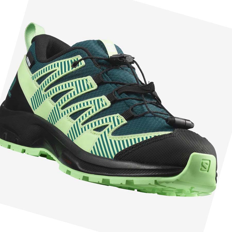 Sapatilhas Trail Running Salomon XA PRO V8 CLIMASALOMON™ WATERPROOF Criança Verdes | 54392-XNPB