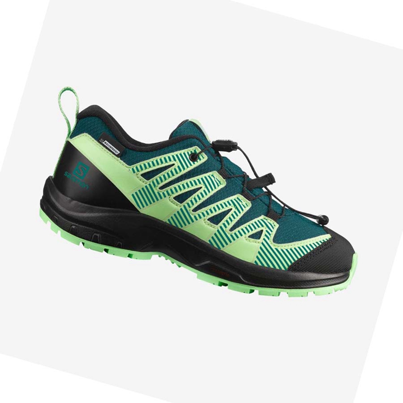 Sapatilhas Trail Running Salomon XA PRO V8 CLIMASALOMON™ WATERPROOF Criança Verdes | 54392-XNPB