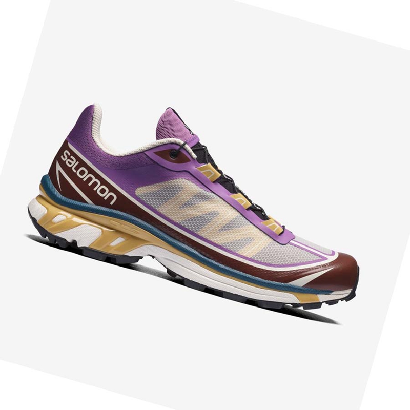 Tenis Salomon XT-6 FT Feminino Roxo Chocolate | 29376-AIMU