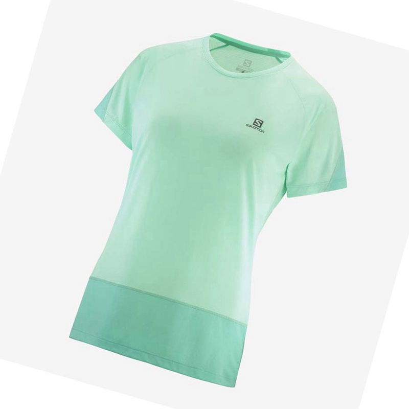 Camiseta Salomon CROSS RUN Feminino Verdes | 13840-EBOC