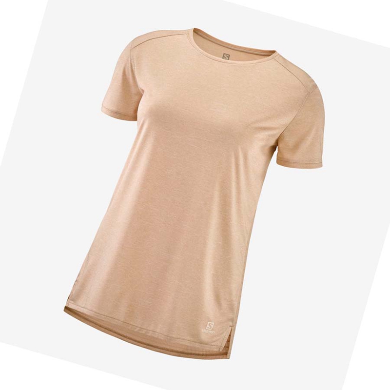 Camiseta Salomon OUTLINE SUMMER Feminino Bege | 09154-IYLE