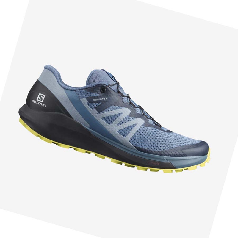 Sapatilhas Trail Running Salomon SENSE RIDE 4 Masculino Cinzentas | 38216-HEDU