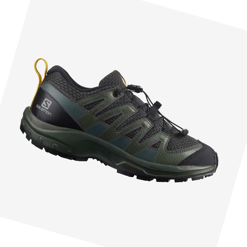 Sapatilhas Trail Running Salomon XA PRO V8 Criança Verde Oliva | 94621-WGJK