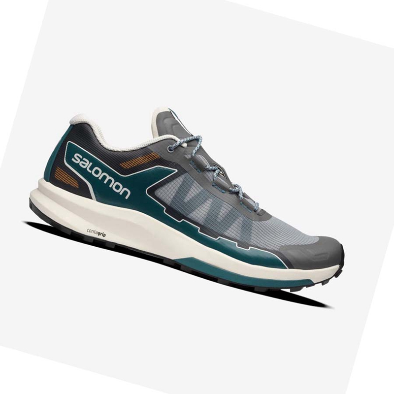 Tenis Salomon ULTRA RAID Masculino Cinzentas | 83695-JRKX