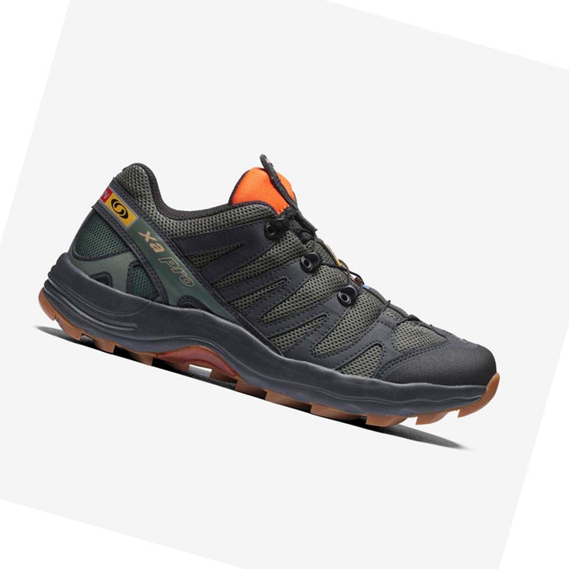 Tenis Salomon XA PRO 1 Masculino Cinzentas | 80641-GVDK